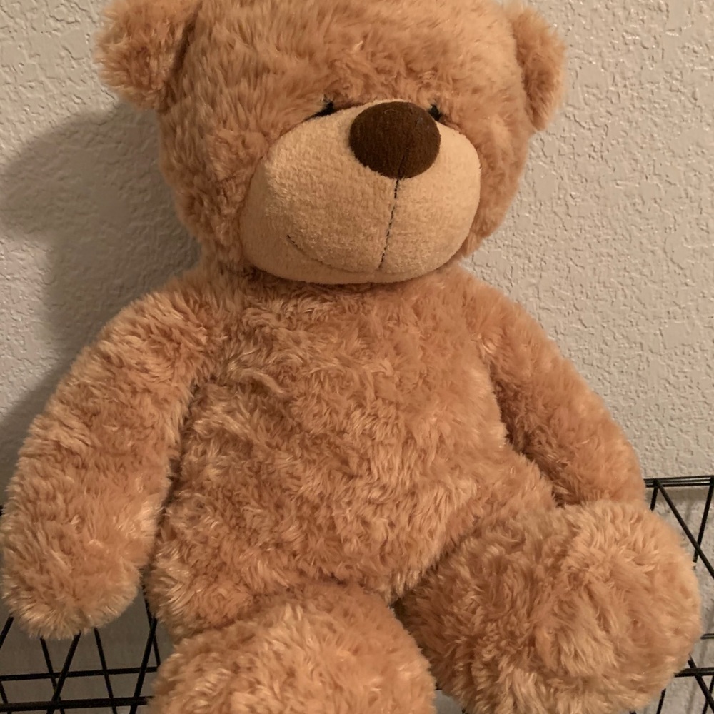 NEW TEDDY BEARS